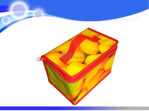 专业保温袋厂家，龙一制袋厂 高效生产，高性价比之选